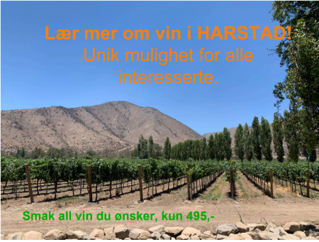 Vinmesse Harstad